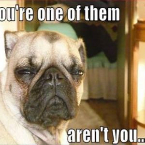 Meet your Posher, Gabe